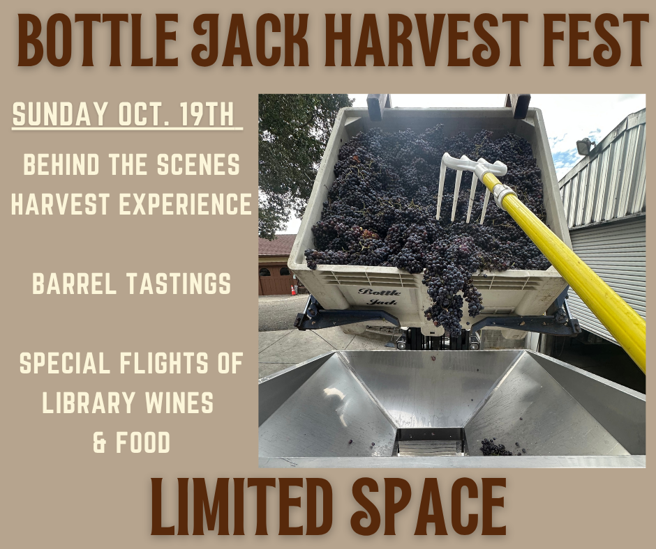 2025 Harvest Fest